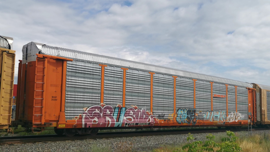 BNSF 28389 (Body) TTGX 953515 (Flat)